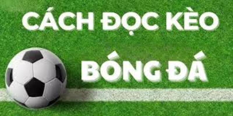 cách đọc kèo bóng đá